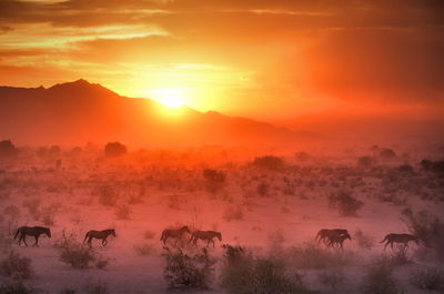 Scenic view of landscape against sky during sunset