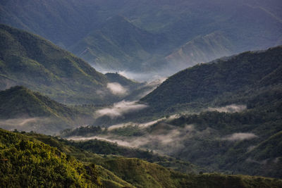 A river of clouds