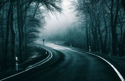 Road amidst trees in forest during winter