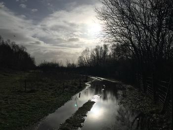 Scenic view of river in forest against sky