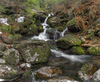 Scenic view of waterfall in forest