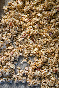 High angle view of cherry tree in market
