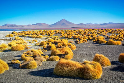 Scenic view of desert against sky