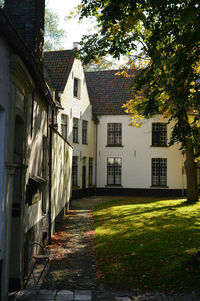 Houses amidst trees and buildings against sky