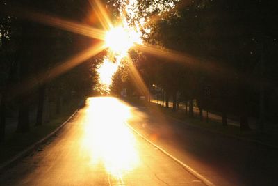 Sun shining through trees