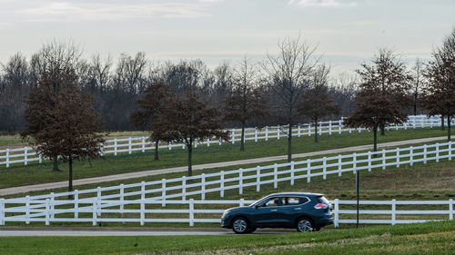 Cars on field by road against sky