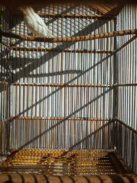 High angle view of a food