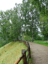 Trees on field against sky