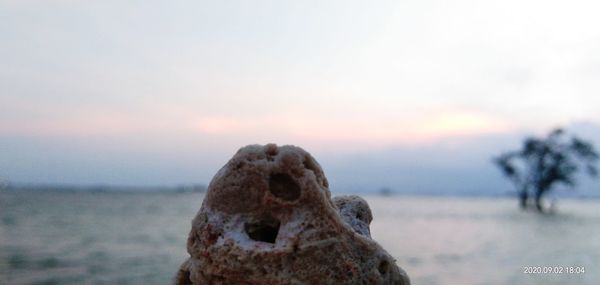 Close-up of rock formation on beach against sky during sunset