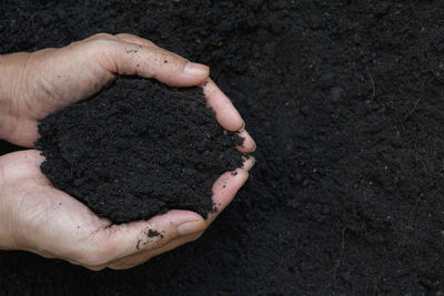 Cropped hands holding soil over field