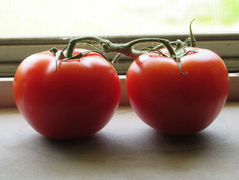 Close-up of tomatoes on table