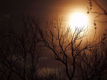 Silhouette bare tree against sky during sunset