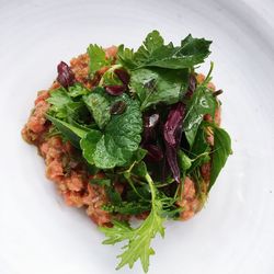 Directly above shot of salad in plate