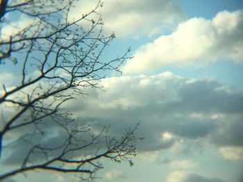 Low angle view of bare tree against sky