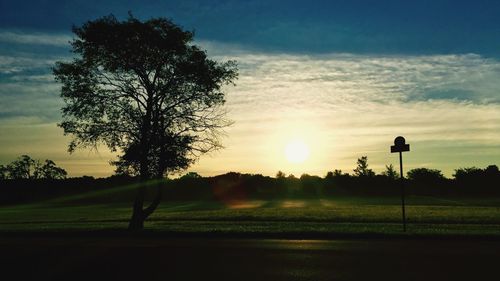 Scenic view of grassy field against sky