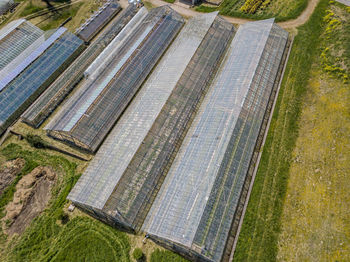 High angle view of plants growing on field