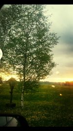 Scenic view of grassy field against sky