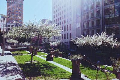 Buildings in city