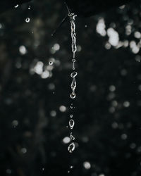 Close-up of water drops falling from leaves