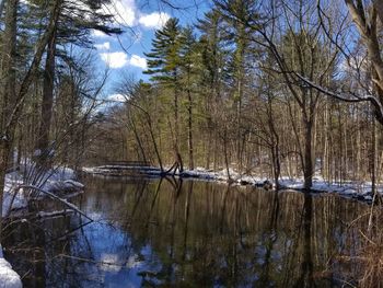 Reflection of bare trees in lake against sky