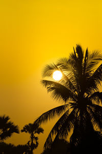 Low angle view of silhouette palm tree against orange sky