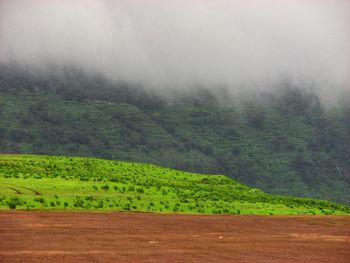 Scenic view of field against sky during foggy weather