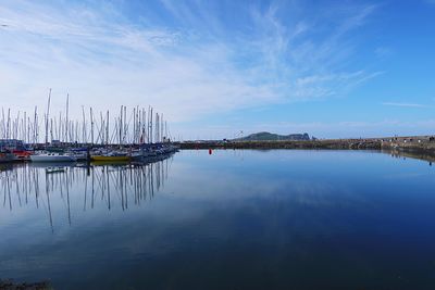Sailboats in marina at harbor against blue sky