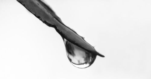 Close-up of water drop against white background
