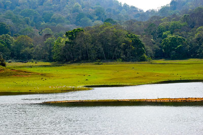 Scenic view of landscape during rainy season