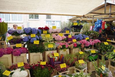 Market stall for sale