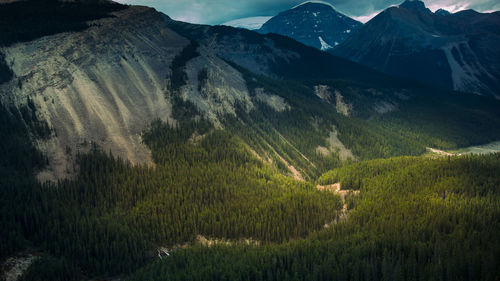 Scenic view of field and mountains