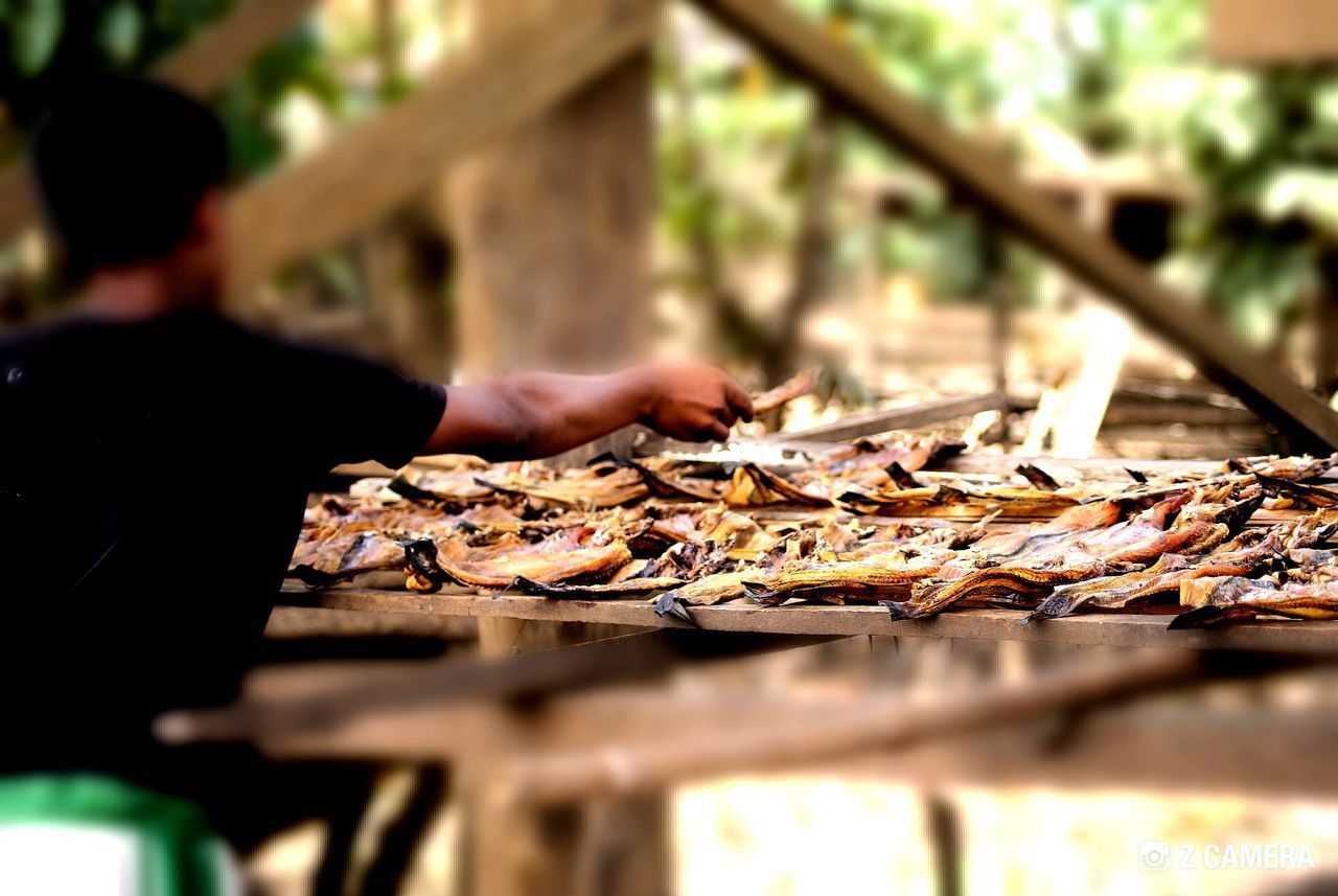 CLOSE-UP OF PERSON WITH LEAVES ON WOOD