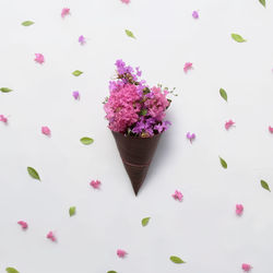 High angle view of pink flowers on table