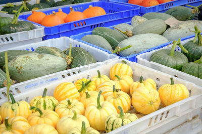 High angle view of vegetables for sale at market stall