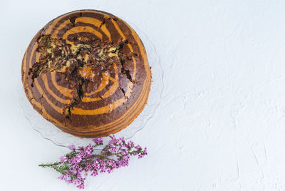 Directly above shot of cake against white background
