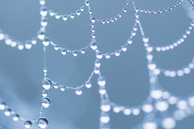 Close-up of water drops on leaf