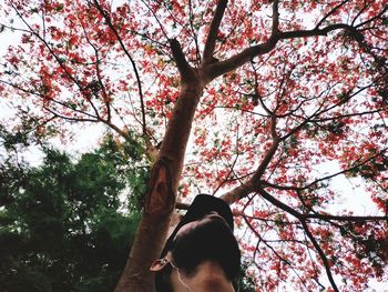 Low angle view of dog on tree