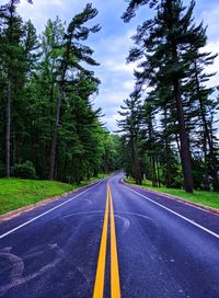 Empty road amidst trees against sky