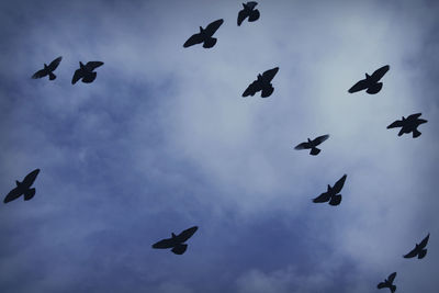 Low angle view of birds flying against cloudy sky