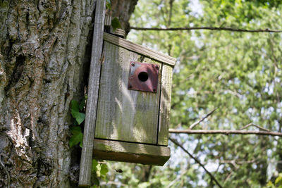 Low angle view of birdhouse on tree trunk