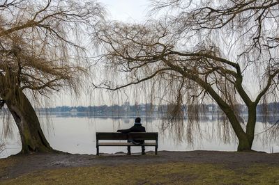 Scenic view of lake against bare trees