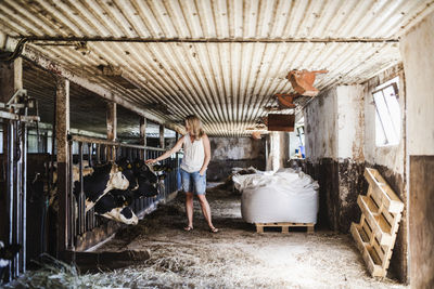 Woman in cowshed