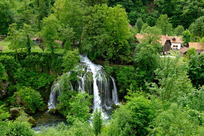 Scenic view of waterfall in forest