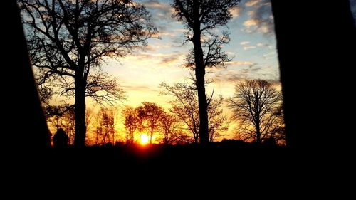 Silhouette trees against sky during sunset