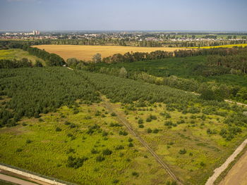 Scenic view of agricultural field against sky