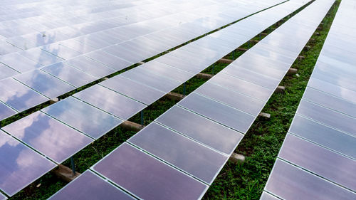 Aerial view of solar panels or solar cells on the roof in farm. power plant with green field, 