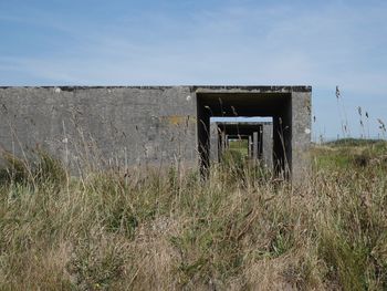 Plants growing on shore against sky