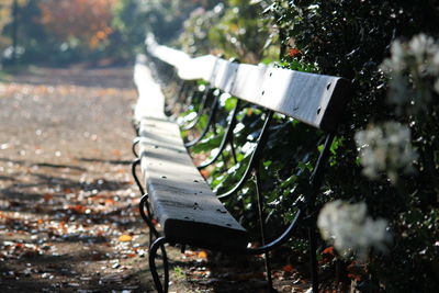 Close-up of park benches  