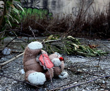 Abandoned stuffed toy on field