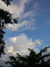 Low angle view of trees against cloudy sky